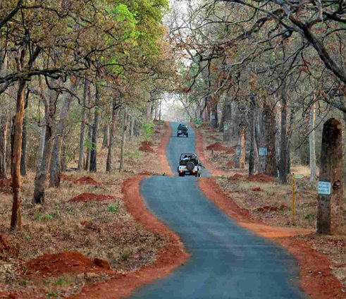places in tadoba